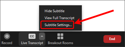 Subtitle settings button circled