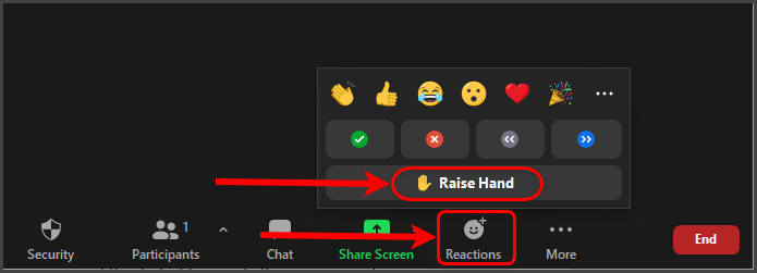 Reactions and raise hand circled