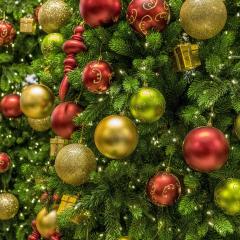 Christmas newsletter