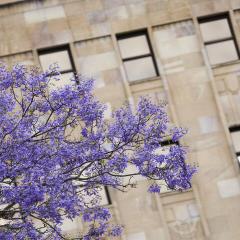 Great court buidling