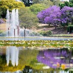 UQ Lakes