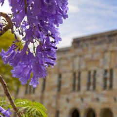 UQ scenery