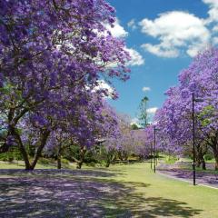 UQ scenery